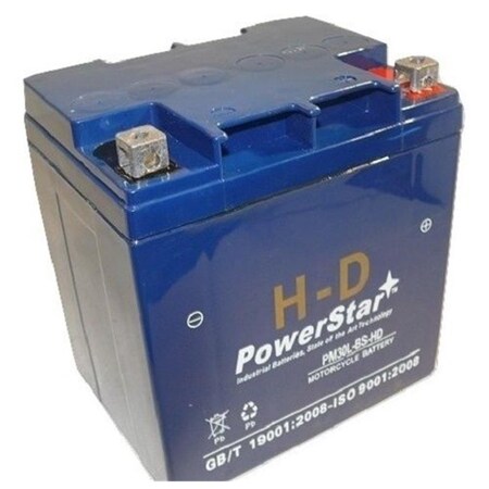 Powerstar Harley-Davidson Ytx30L-Bs - Extra Cca Agm Motorcycle Battery,  PO46360